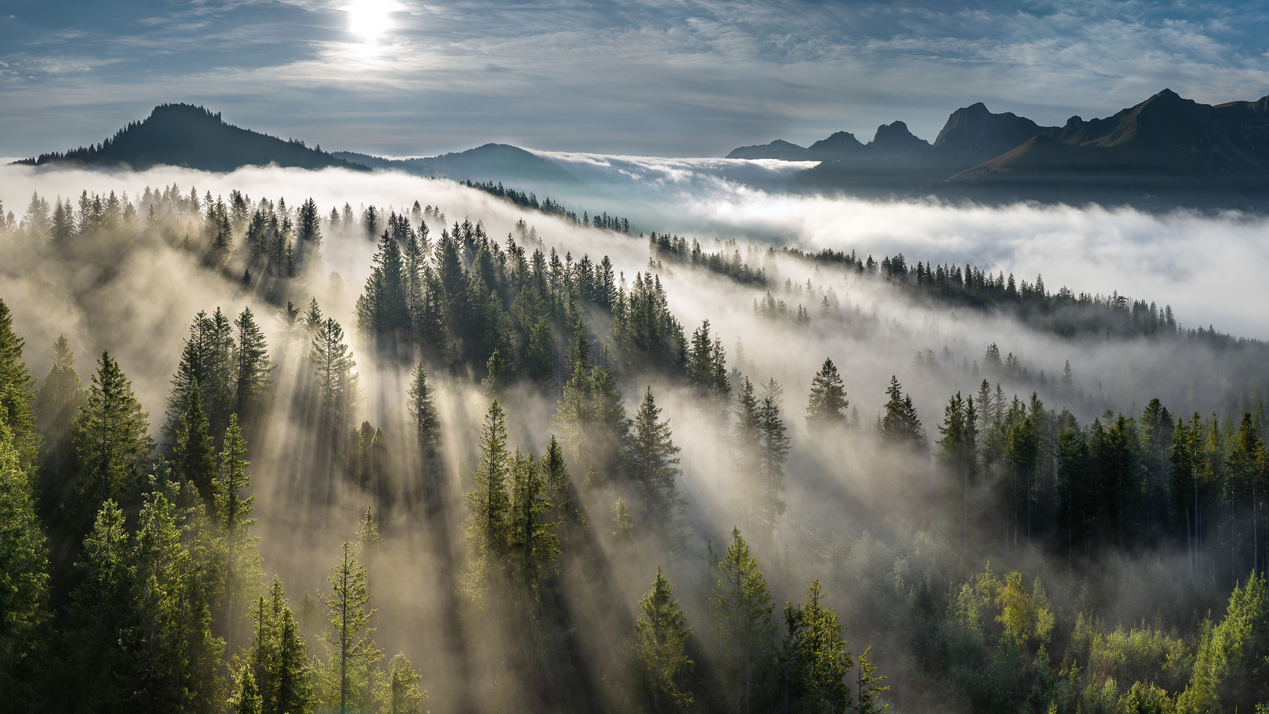 Martin Mägli, Naturpark Gantrisch