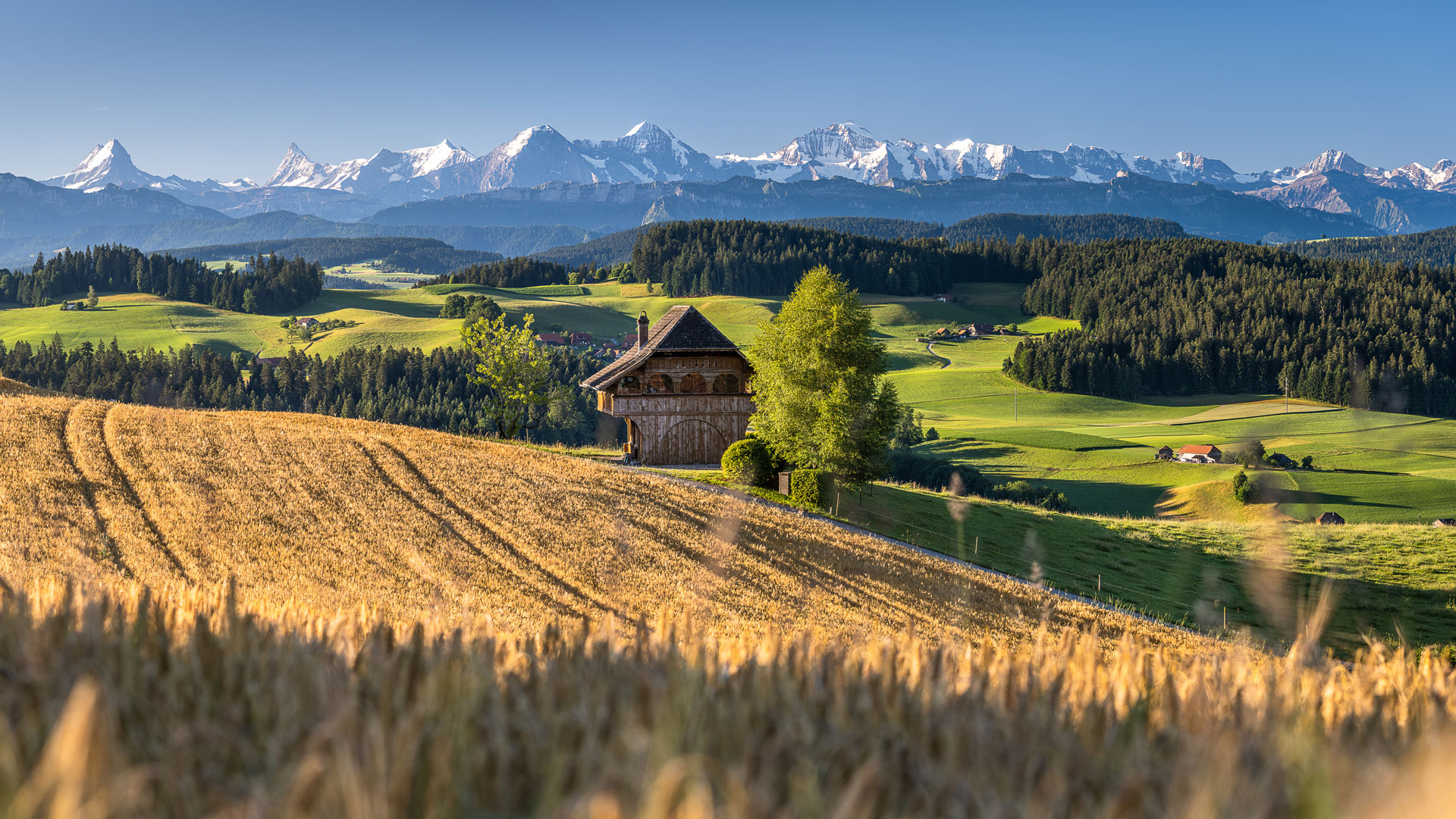 Martin Mägli, Panorama Biglen